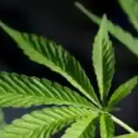 Abogado de DUI por marihuana en Oklahoma City